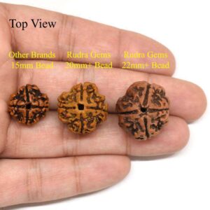 Rudraksha opinion