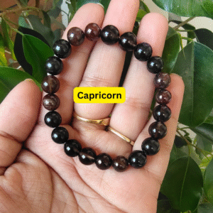 Capricorn Zodiac Crystal Bracelet