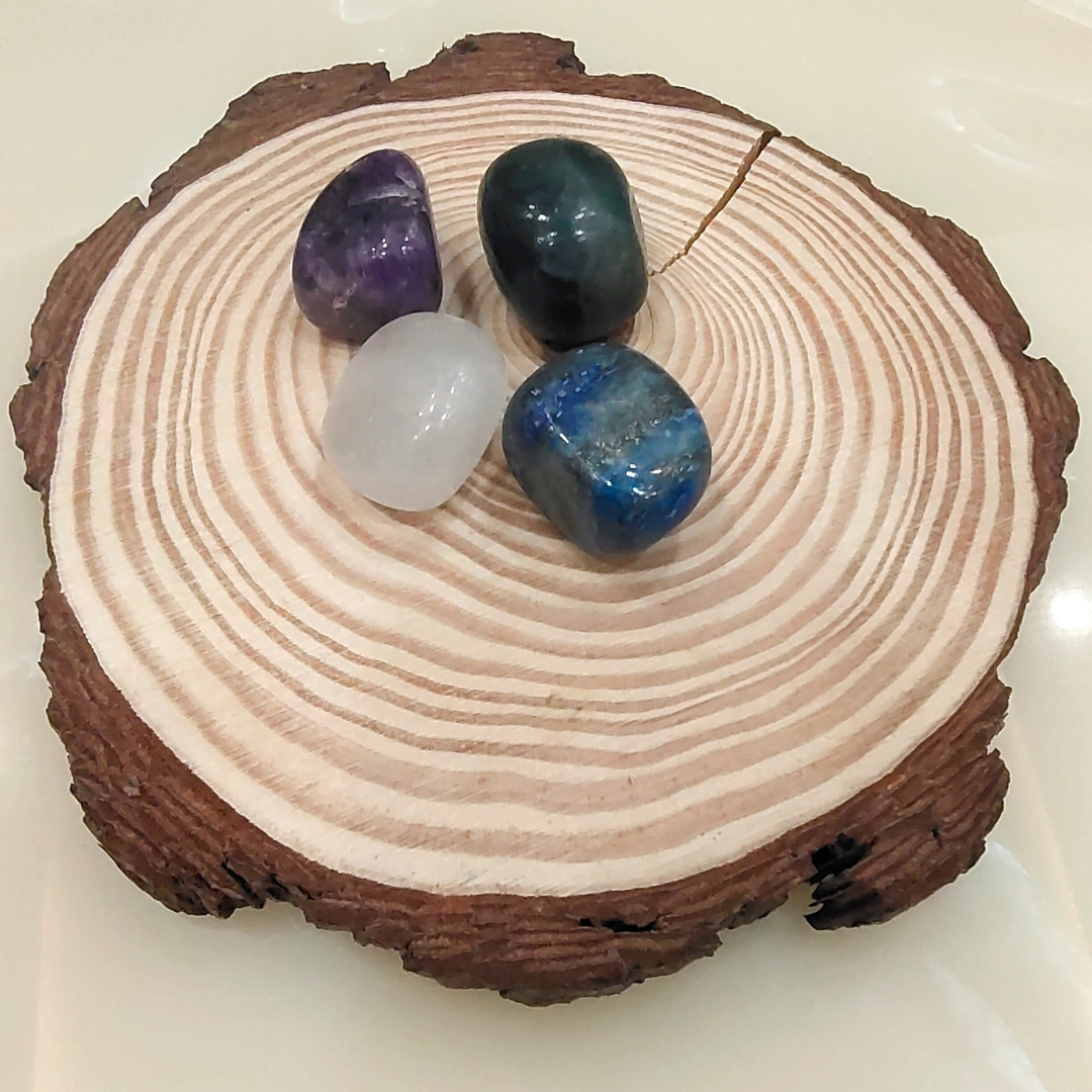 Study & Concentration Kit - Image 2