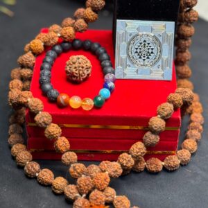 Siddh Shree Yantra – The Source of Divine Prosperity